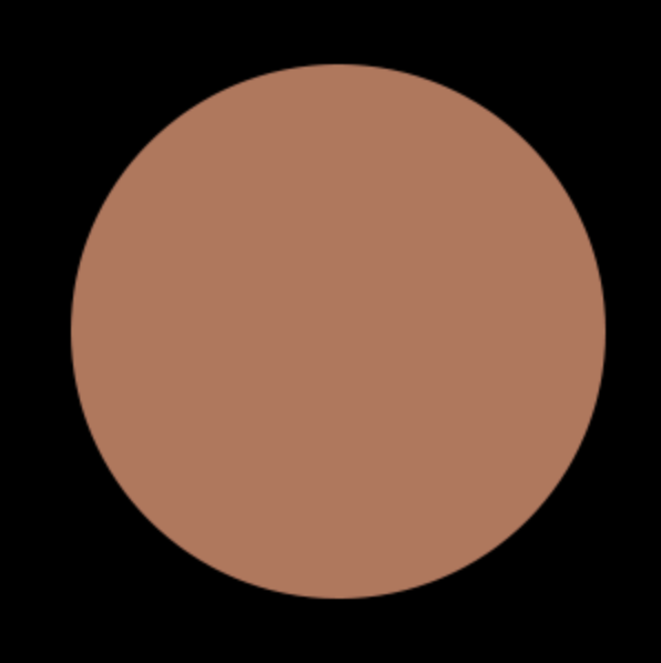 Poudre bronzante NOUVEAUTÉ